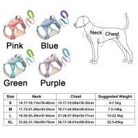 Arnés reflectante para perro, chaleco ajustable, correa de pecho para perro antidesprendimiento, transpirable con mochila, conjunto de arnés y correa para perro al aire libre - details 0