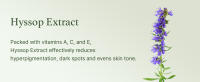Arencia Holy Hyssop Serum