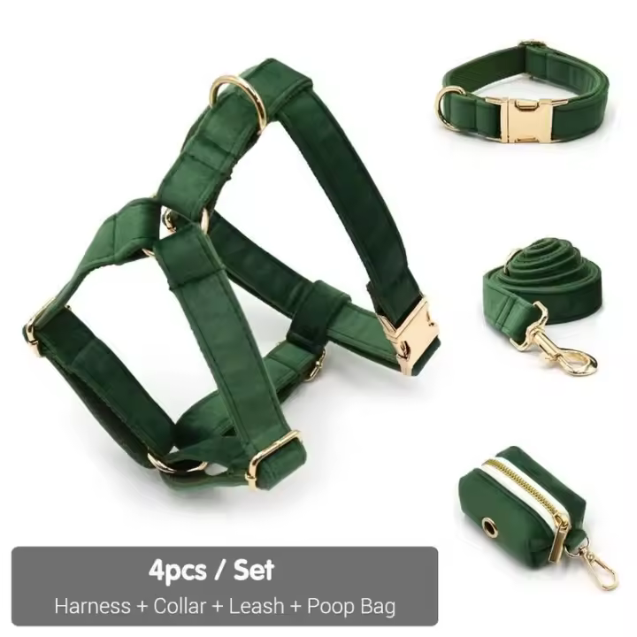 Terciopelo Verde Pavo real Grabado, Conjunto Correa de arnés Perros personalizado, Collar able sin escape para mascotas con - 1