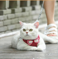 Conjunto de arnés y correa con lazo para gato, correa de plomo ajustable para cachorro, chaleco de malla de nailon, Collar para gatito, accesorios para gato - details 9
