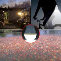Lámpara Solar Portátil Bombilla LED Recargable para Campamento Pesca Nocturna Panel Solar de Energía Renovable Luz Blanca 1.5W - details 13