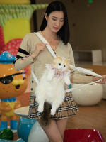 Muñeca muñeca de tela de felpa juguete cumpleañera explosión de la misma mochila de gato ragdoll simulada bolsa de gato gordito - details 18