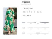 2025 Vestido elegante de cintura alta con hombros inclinados y mangas farol estampadas Ins para mujer - details 0