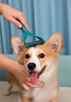 Cortador de Nudos de Pelo de Mascotas Cepillo de Desenredar de Doble Cara para Perros y Gatos - details 0