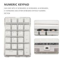Teclado numérico mecánico retroiluminado blanco, 21 teclas, interruptor azul cereza, PC de escritorio, portátil - details 2