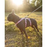 Huntboo Arneses para Perros a Prueba de Escape, Arnés para Perros Antideslizante a Prueba de Escape con Asa Acolchada, Chaleco Transpirable y Ajustable para Perros Grandes para Caminar, Entrenar y Correr - details 2