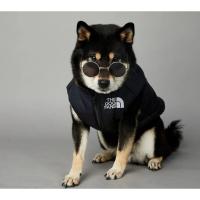 Chubasquero cálido de invierno para perros grandes, ropa de algodón para mascotas, abrigo a prueba de viento y lluvia - details 30
