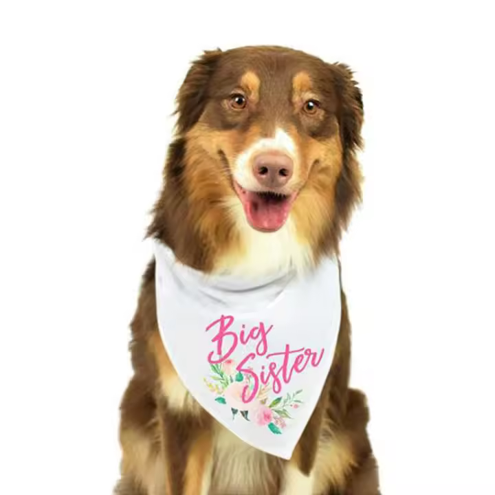Pañuelo triangular de algodón suave para mascotas, Baberos para niños, cachorros, gatos, cumpleaños - 1