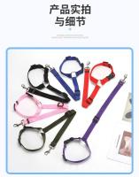 Productos para mascotas Correa de seguridad para coche Anillo cuerda para perro Cuerda para gato Reposacabezas para coche correa retráctil - details 10