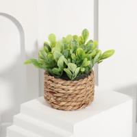 Plantas Artificiales de Eucalipto Pila de Césped Tejida de 11cm Material PE Decoración del Hogar - details 15
