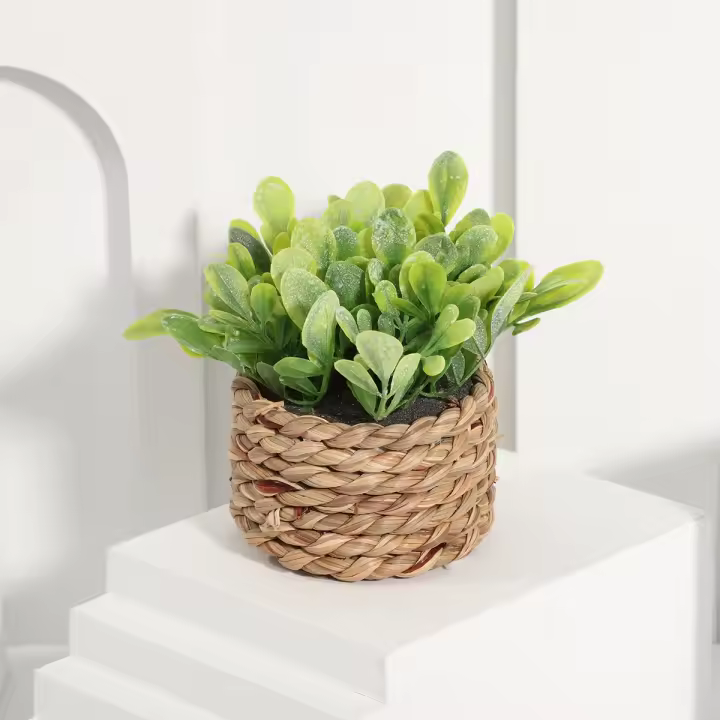 Plantas artificiales de Eulyptus, material de pila de hierba tejida de 11cm, decoración del hogar - 1