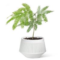 Macetas para orquídeas con impresión de aire para jardinería interior, suministros de jardinería, 360 orificios de ventilación, sistema de drenaje con tecnología de impresión de aire - details 5