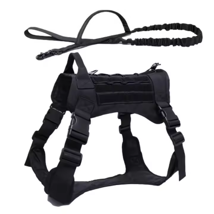 Correa de Entrenamiento al Aire Libre para Perros Medianos y Grandes Collar Incluido - 1