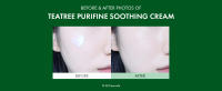 Tea Tree Purifine Cream