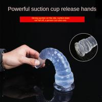 Tapón Anal Vestibular con rosca de pulpo, Consolador de cristal transparente, cuenta Vestibular, crisantemo, masturbador Anal - details 2