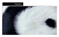 Cojín de Peluche de Panda Almohada de Espalda de Dibujos Animados para Decoración de Sofá de Estar - details 4