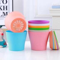 ETA color caramelo con bandeja, planta jugosa ETA, escritorio de oficina, balcón, decoración de jardín, ETROS de plástico - details 2