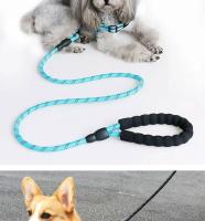 Correa Reflectante para Perros 120/150/200/300 cm Ideal para Perros Pequeños, Medianos, Grandes - details 4