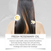 El romero hidrata y nutre el suave aceite esencial diario para el cuidado del cabello. - details 4