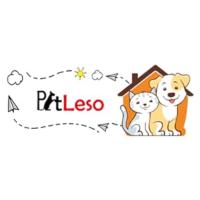 PETLESO Puerta para Perros para Mosquitera Fácil de Montar, Gateras para Gatos Puerta para Mascotas con Magnético y Bloqueable para Gatos/Perros (35 cm x 45,5 cm) - details 5