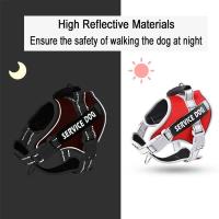XS-M arnés chaleco Labrador Retriever pecho ropa cuerda medio grande perro reflectante ustable al aire libre caminar suministros - details 3
