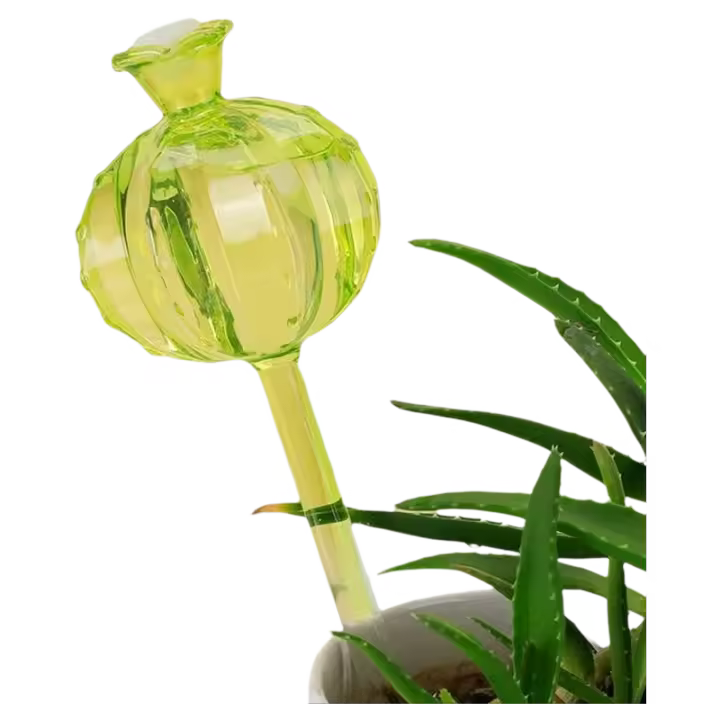 2 uds globos de plantas automáticos bolas dispositivo de agua sistema de riego por goteo herramientas de autorriego de Cactus - 1