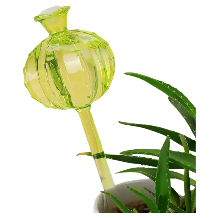 2 uds globos de plantas automáticos bolas dispositivo de agua sistema de riego por goteo herramientas de autorriego de Cactus - 1
