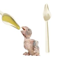 Alimentador de plástico de leche en polvo para pájaros, cuchara de medicina resistente al calor, mango largo, pollitos engrosados, alimentación de aves - details 4