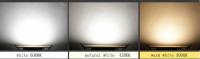 Luz de trabajo de torno de madera con abrazadera de enchufe europeo de 10W FLEXIBLE - details 4