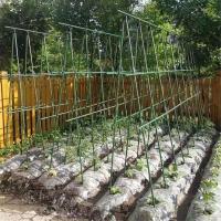 Estaca de jardín de 16MM, conectores rectos de plástico, tubo de conexión, estaca de soporte para plantas de alta resistencia, 20 piezas - details 1