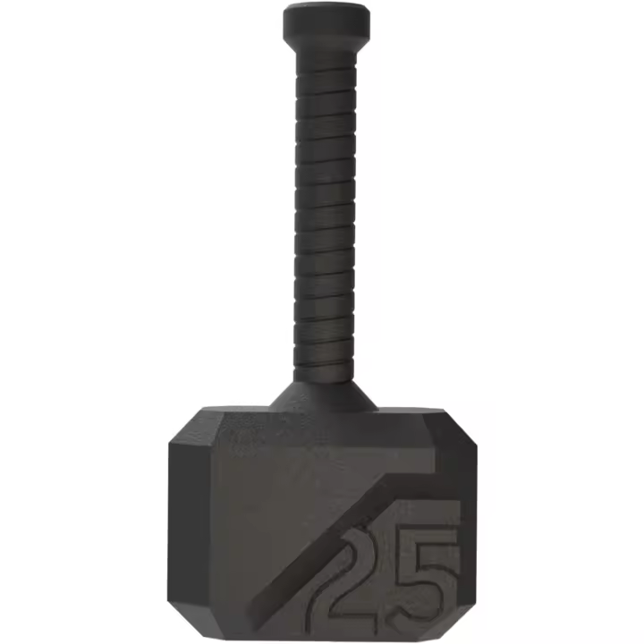 Mancuerna Kettlebell de 7-31kg Equipo de Entrenamiento Cruzado para Músculo y Fitness Cardio - 1