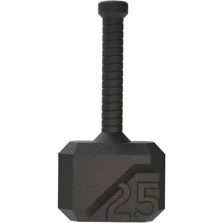 Mancuerna Kettlebell de 7-31kg Equipo de Entrenamiento Cruzado para Músculo y Fitness Cardio - 1
