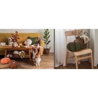 Cojín de calabaza