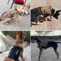 Correa Táctica para Perros Gran Collar con Correa de Disposición Militar para Perros de Todas las Sizes Chaleco de Entrenamiento para Mascotas - details 12