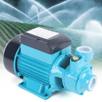 Bomba de agua Industrial de 220V, 370W, 2850rpm, refuerzo Circular de riego de jardín, color azul, robusta y duradera, 21,5x12x15,5 Cm - details 3
