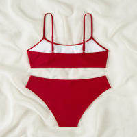 2025 nuevo traje de baño dividido sin tirantes para mujer, Bikini Sexy de playa, traje de baño de aguas termales - details 15