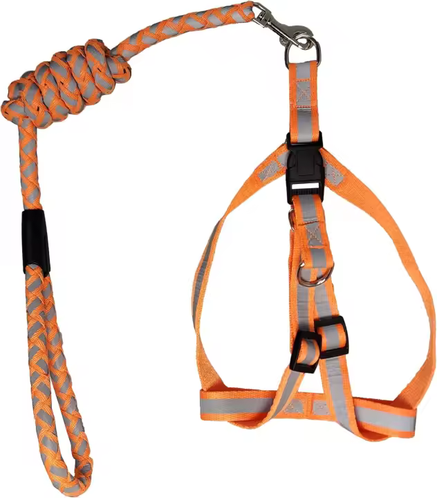 Paquete de Correa y arnés reflectante para perro, juego de Collar de arnés suave ajustable a prueba de Escape - 1