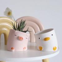 Macetas de Dibujos Animados de Plantas Suculentas Pequeñas Flores para Decorar tu Escritorio - details 0