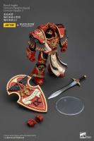 JOYTOY 40k 1/18 Figuras de acción Anime 13,6 cm Blood Angels Crimson Paladins Squad - details 12