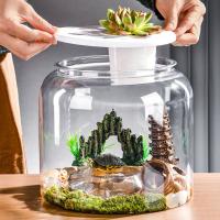 Macetero hidropónico, jarrón redondo transparente para pecera, tanque de tortuga de escritorio irrompible de plástico con cubierta, pecera dorada para el hogar - details 5