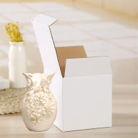 White Cardboard Boxes Recyclable Literature Mailer Boxes for Shipping Mailing Gifts Packaging - details 6