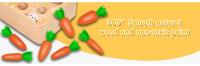 Wooden Toys for 1 Year Olds