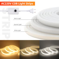 Tira de luces LED COB regulable, cinta de luz de neón, enchufe de la UE, 288 K, 3000K, 4000K, AC220V, CRI RA90, para jardín al aire libre, 6000 LED/M - details 6