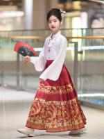 Hanfu para niñas, estilo chino, disfraz Tang para niños con cara de caballo estilo Ming, falda de hada, primavera y otoño, antiguo para niñas - details 17