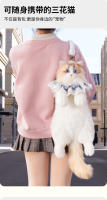 Nueva muñeca de celebridad de Internet linda muñeca con patrón de llama de gato montés juguete de peluche bolsa de gato de simulación - details 6