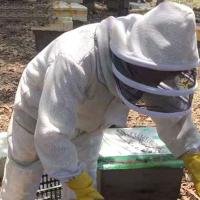 TRE para apicultores profesionales, traje a prueba de insectos con cremallera metálica, transpirable, 1 juego - details 4