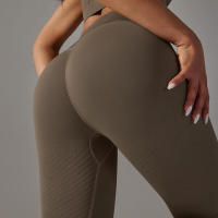 Leggings sin costuras para mujer, leggings de gimnasio de cintura alta, control de barriga, entrenamiento para correr, pantalones de yoga - details 45
