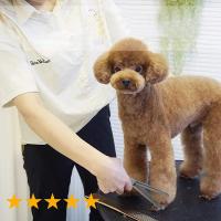 Tijeras de Acero Inoxidable para Mascotas Compactas y Curvas para Peluquería Aceptables para Perros - details 10