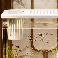 Tanque de peces transparente creativo con tapa, tanque de tortuga pequeño, tanque de acuario Betta resistente a caídas para decoración del hogar - details 8