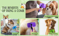 Peine con aguja para mascotas, peine para perros, combinador de pelo, peine para perros, herramienta divina para gatos, peine flotante para depilación, peine especial para pelo de gato - details 4